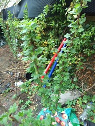 Wohnung und Garten putzen