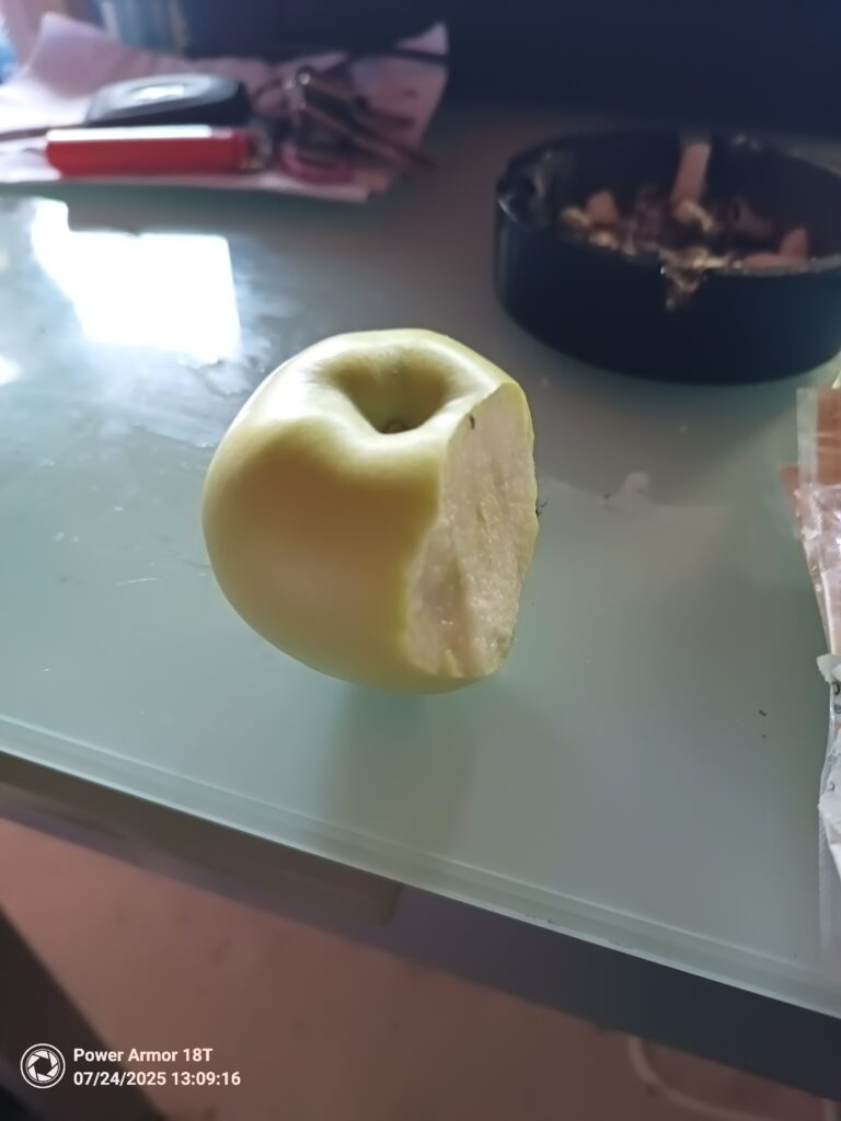 Wohnung und Garten putzen
